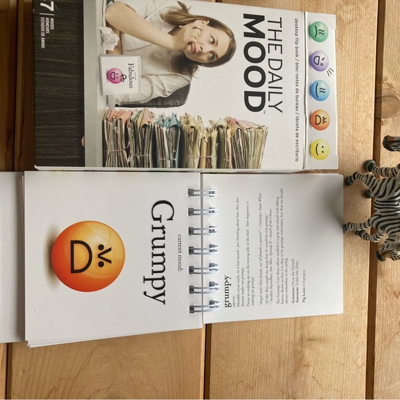 The Daily Mood desk top flip book.  Let your coworkers/family know your mood 🤪 - Picture 10 of 11